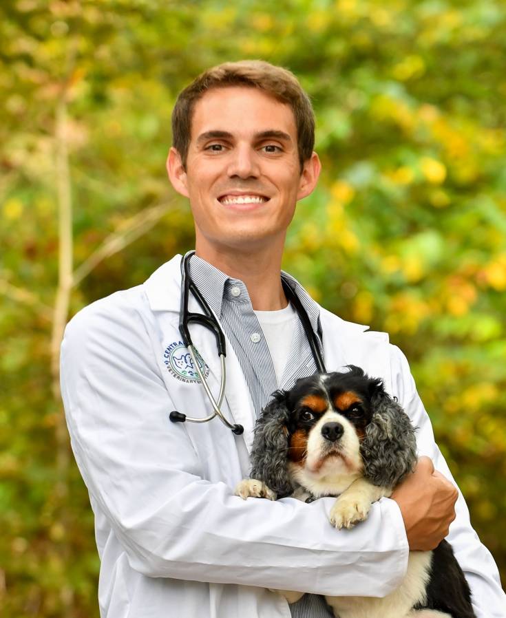 <strong>Doctor Pet Hospital: Mengenal Pemeriksaan, Vaksinasi, Perawatan Gigi, dan Bedah Hewan</strong>